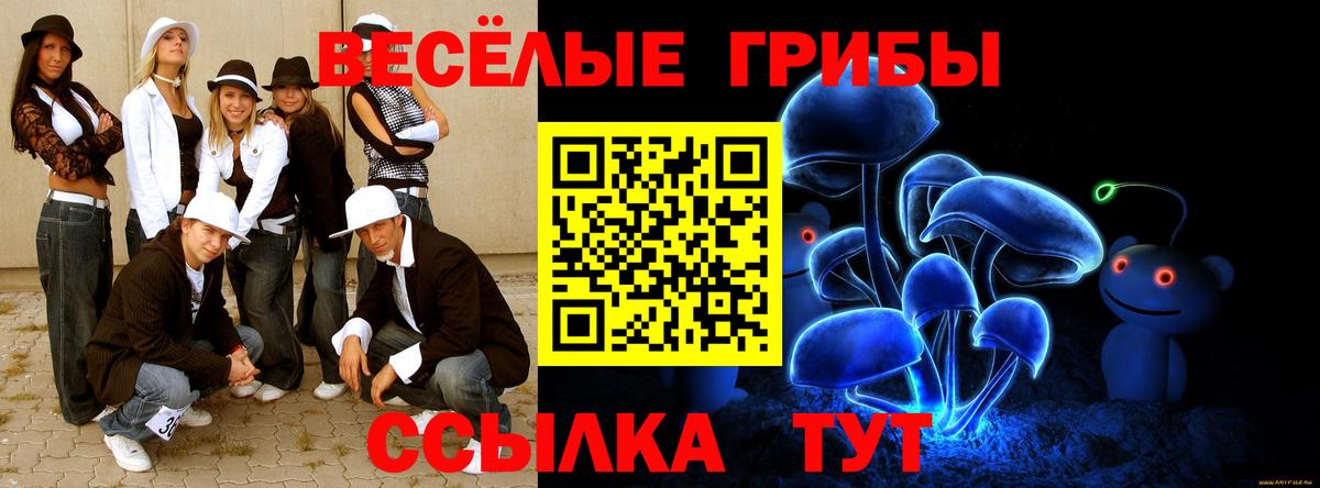 Славянск-на-Кубани  Псилоцибиновые грибы прущие грибы  Вход с VPN 